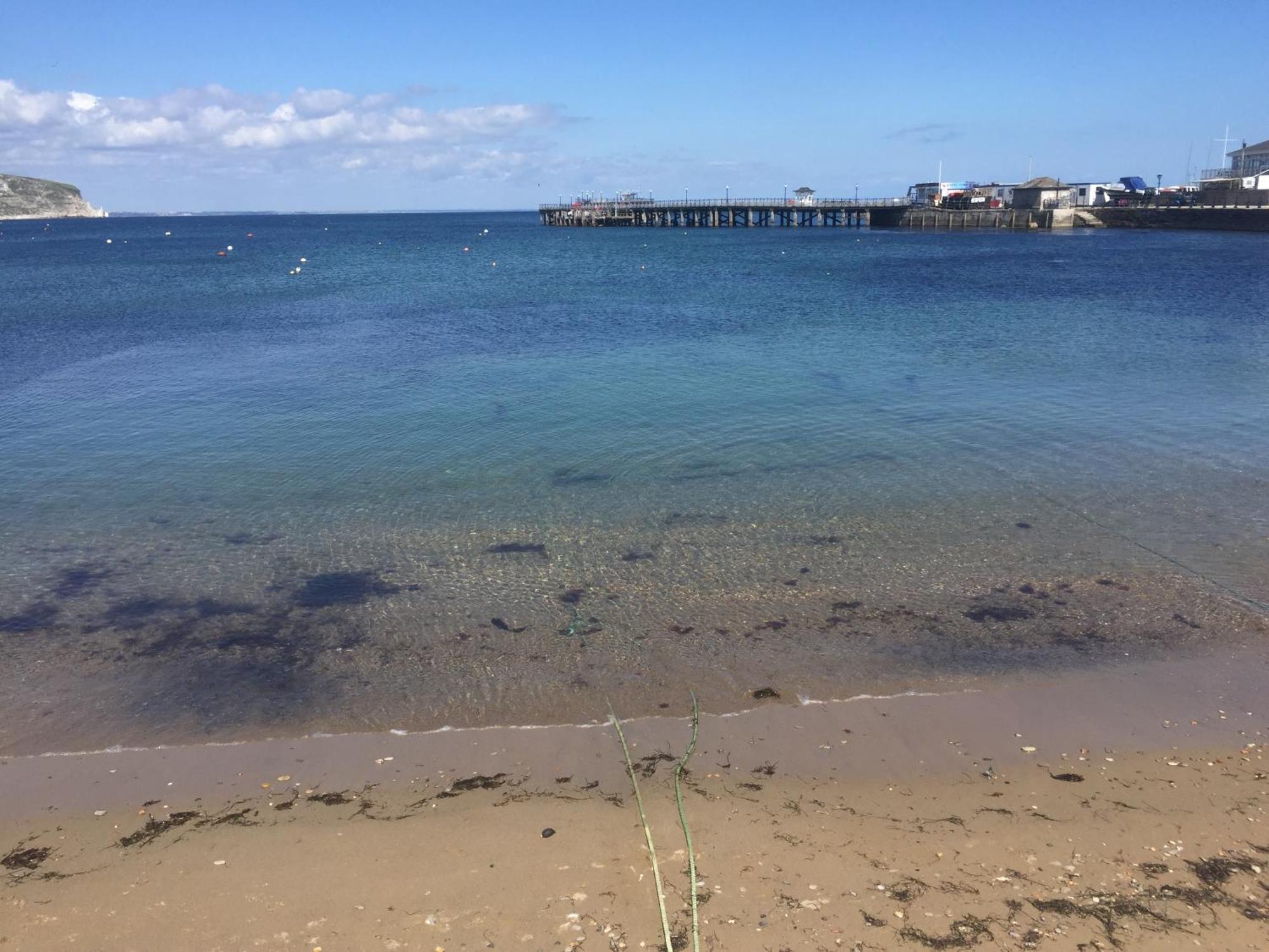 Ocean View Apartment Swanage